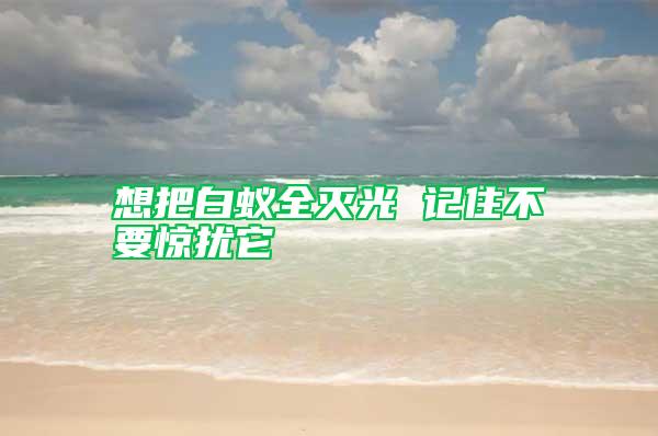 想把白蟻全滅光 記住不要驚擾它
