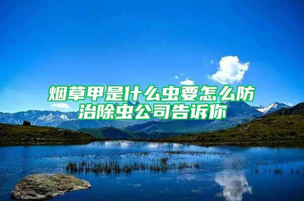 煙草甲是什么蟲要怎么防治除蟲公司告訴你
