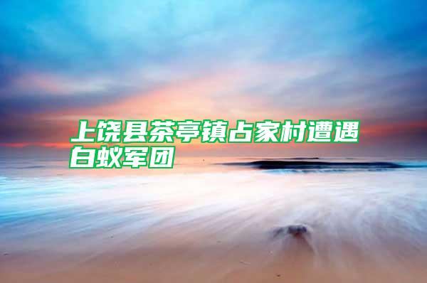上饒縣茶亭鎮(zhèn)占家村遭遇白蟻軍團(tuán)