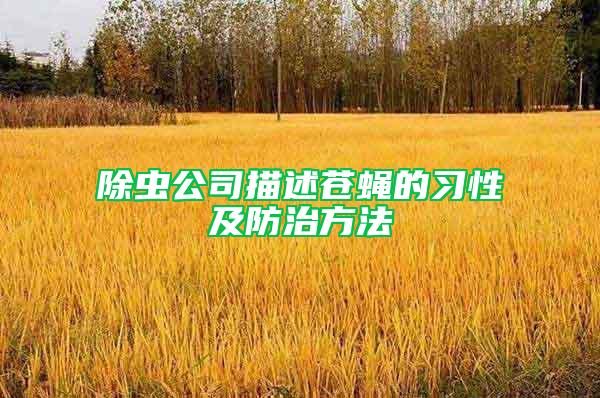除蟲公司描述蒼蠅的習性及防治方法