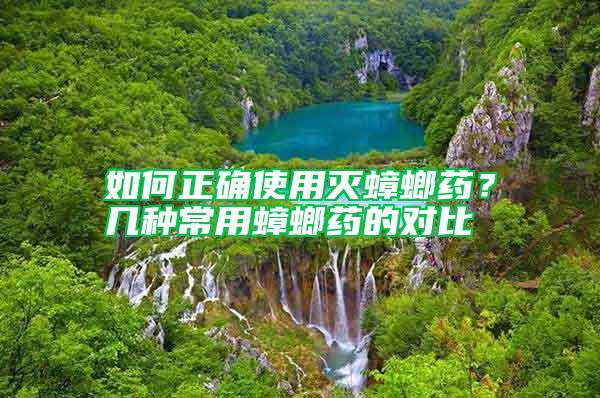 如何正確使用滅蟑螂藥？幾種常用蟑螂藥的對比