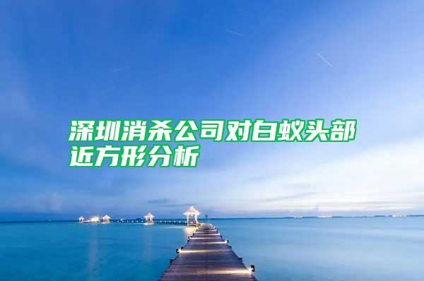 深圳消殺公司對白蟻頭部近方形分析
