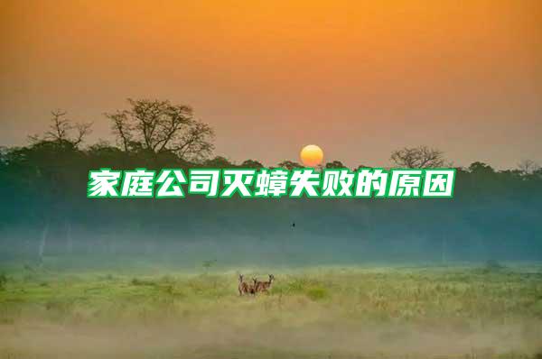 家庭公司滅蟑失敗的原因