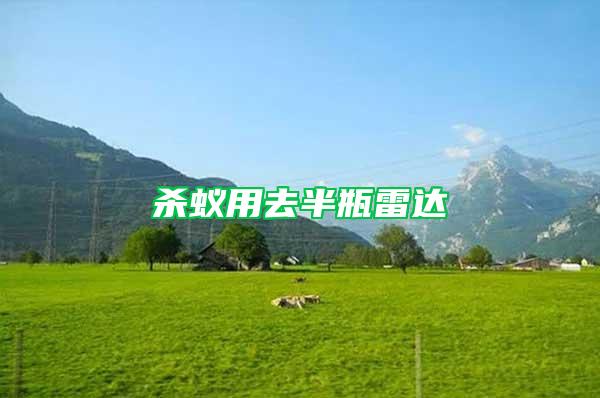 殺蟻用去半瓶雷達(dá)