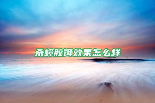 殺蟑膠餌效果怎么樣