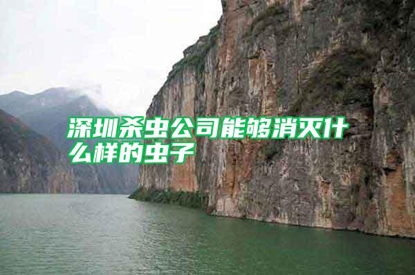 深圳殺蟲(chóng)公司能夠消滅什么樣的蟲(chóng)子
