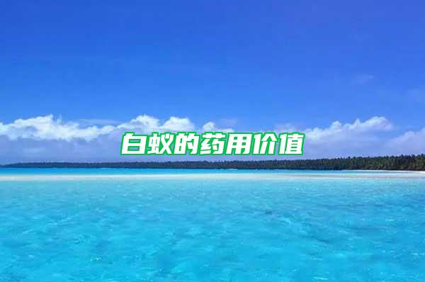 白蟻的藥用價(jià)值