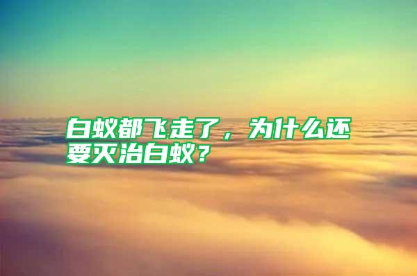 白蟻都飛走了，為什么還要滅治白蟻？