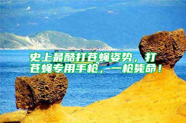 史上最酷打蒼蠅姿勢(shì)，打蒼蠅專(zhuān)用手槍?zhuān)粯寯烂?/></p>
             <p style=