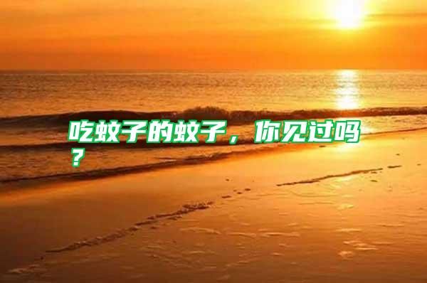 吃蚊子的蚊子，你見(jiàn)過(guò)嗎？