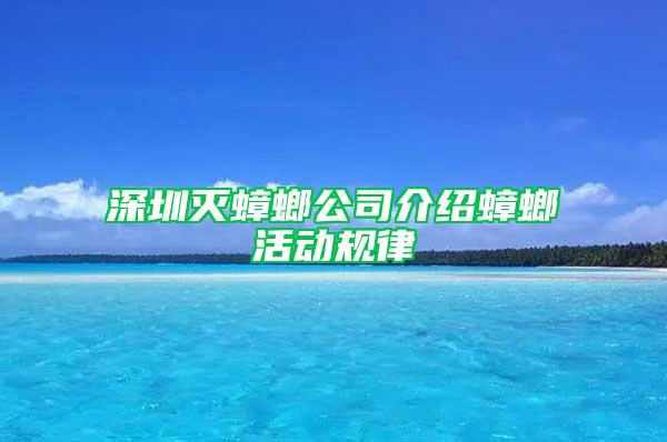 深圳滅蟑螂公司介紹蟑螂活動規(guī)律