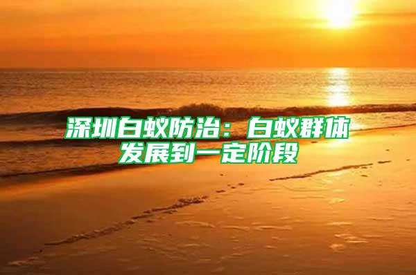 深圳白蟻防治：白蟻群體發(fā)展到一定階段