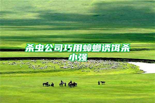 殺蟲(chóng)公司巧用蟑螂誘餌殺小強(qiáng)