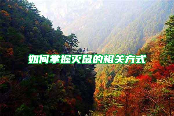 如何掌握滅鼠的相關(guān)方式