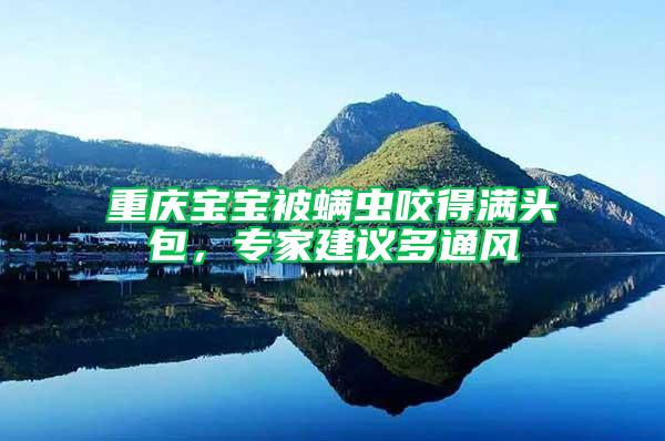 重慶寶寶被螨蟲(chóng)咬得滿頭包，專家建議多通風(fēng)