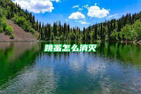 跳蚤怎么消滅