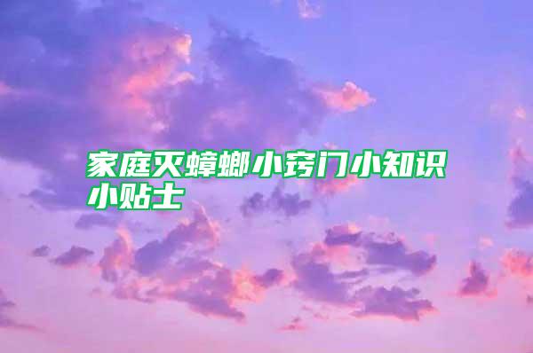 家庭滅蟑螂小竅門小知識小貼士