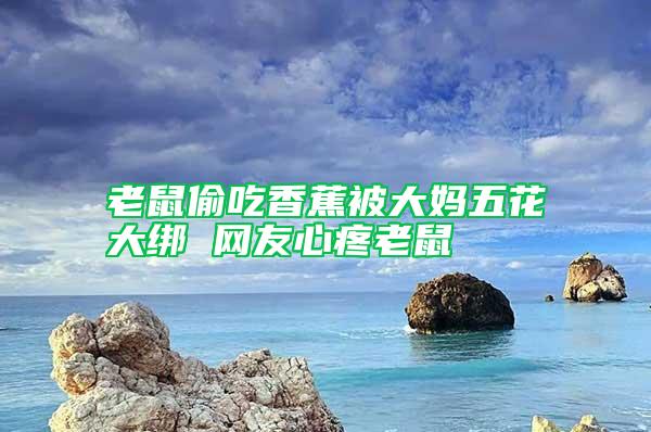 老鼠偷吃香蕉被大媽五花大綁 網(wǎng)友心疼老鼠