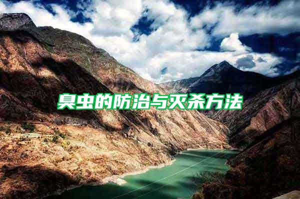 臭蟲的防治與滅殺方法