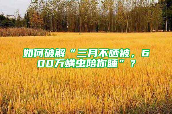 如何破解“三月不曬被，600萬螨蟲陪你睡”？