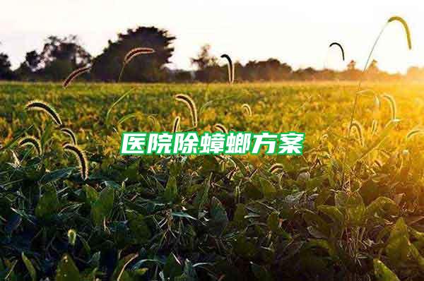 醫(yī)院除蟑螂方案