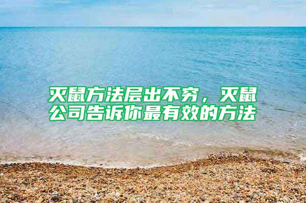 滅鼠方法層出不窮，滅鼠公司告訴你最有效的方法