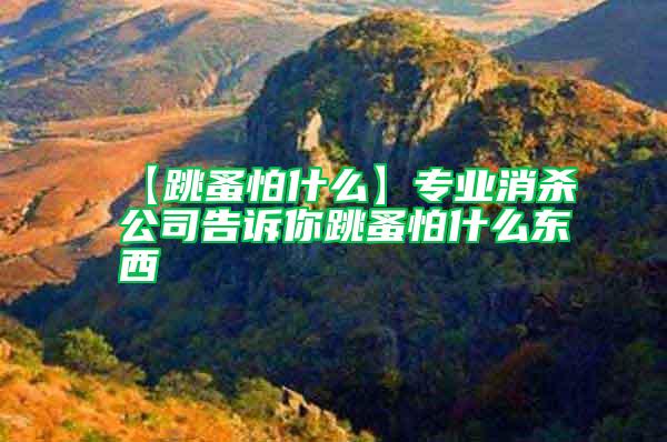 【跳蚤怕什么】專業(yè)消殺公司告訴你跳蚤怕什么東西