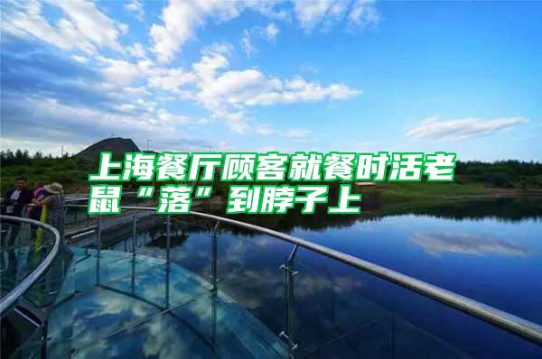 上海餐廳顧客就餐時活老鼠“落”到脖子上