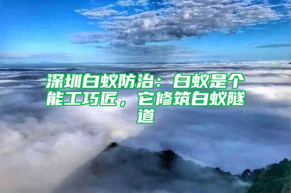 深圳白蟻防治：白蟻是個能工巧匠，它修筑白蟻隧道