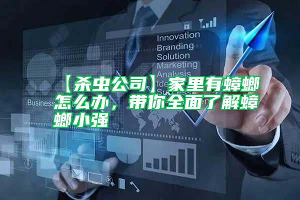 【殺蟲公司】家里有蟑螂怎么辦，帶你全面了解蟑螂小強