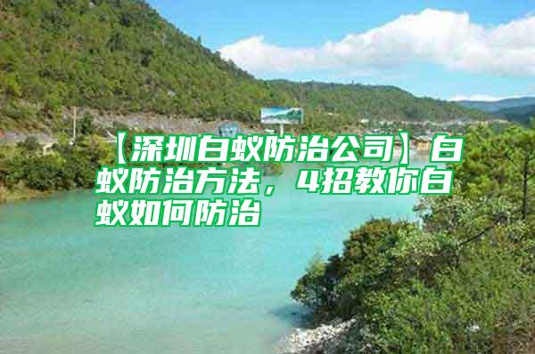 【深圳白蟻防治公司】白蟻防治方法，4招教你白蟻如何防治