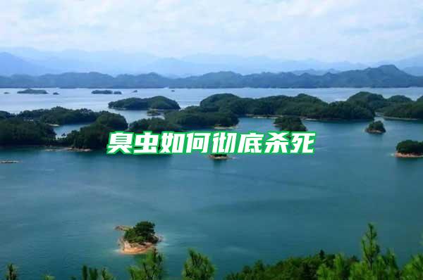 臭蟲如何徹底殺死