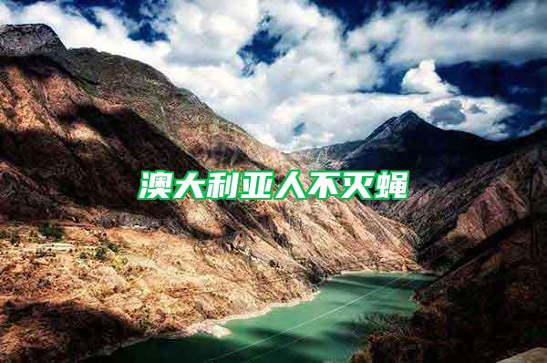 澳大利亞人不滅蠅