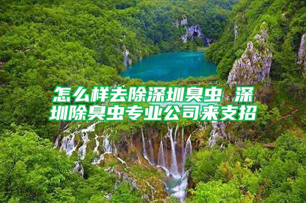 怎么樣去除深圳臭蟲 深圳除臭蟲專業(yè)公司來支招