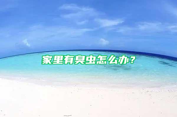 家里有臭蟲怎么辦？