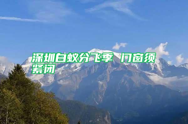 深圳白蟻分飛季 門窗須緊閉