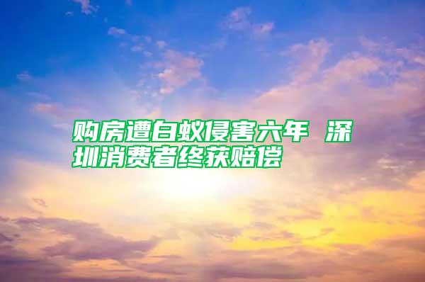 購房遭白蟻侵害六年 深圳消費者終獲賠償