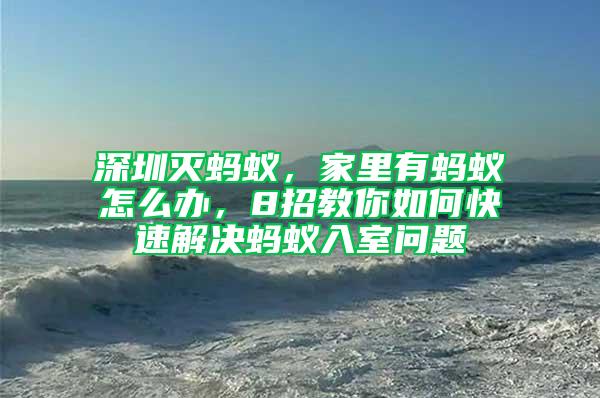 深圳滅螞蟻，家里有螞蟻怎么辦，8招教你如何快速解決螞蟻入室問(wèn)題