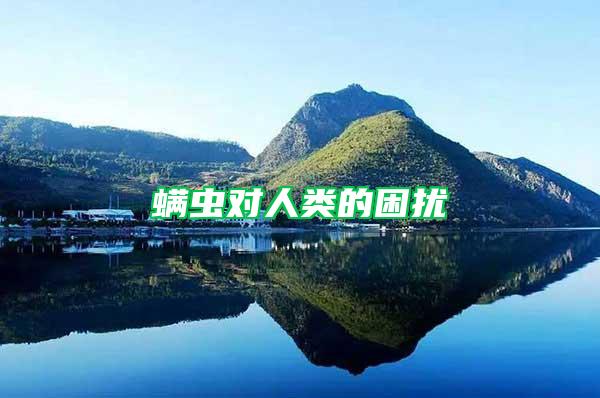 螨蟲對人類的困擾