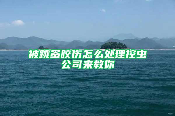 被跳蚤咬傷怎么處理控蟲公司來教你