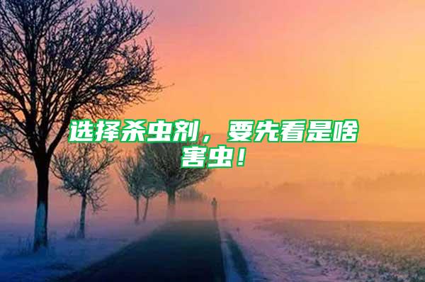 選擇殺蟲劑，要先看是啥害蟲！