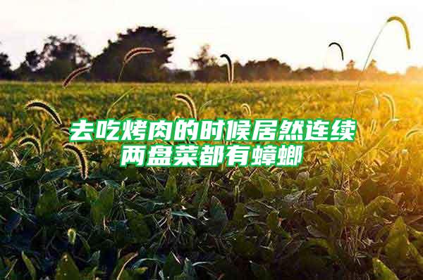 去吃烤肉的時(shí)候居然連續(xù)兩盤(pán)菜都有蟑螂