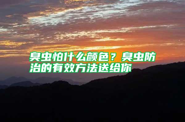 臭蟲怕什么顏色？臭蟲防治的有效方法送給你
