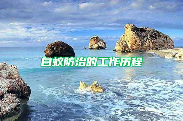 白蟻防治的工作歷程