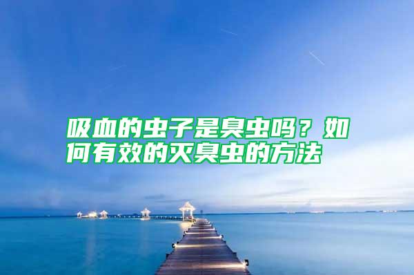 吸血的蟲子是臭蟲嗎？如何有效的滅臭蟲的方法