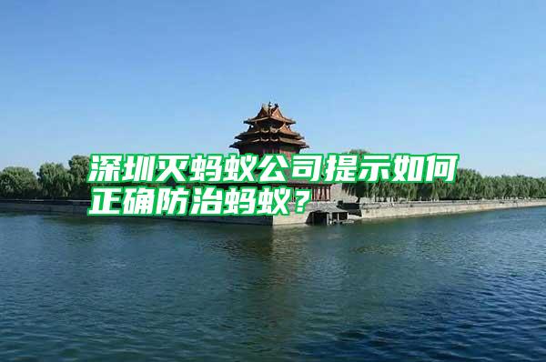 深圳滅螞蟻公司提示如何正確防治螞蟻？