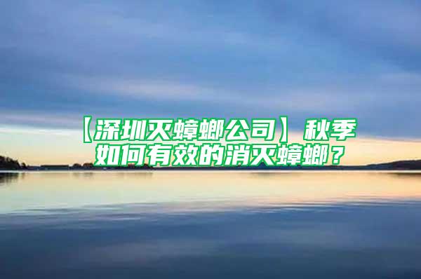 【深圳滅蟑螂公司】秋季  如何有效的消滅蟑螂？