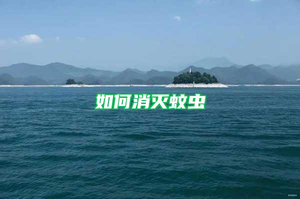 如何消滅蚊蟲(chóng)