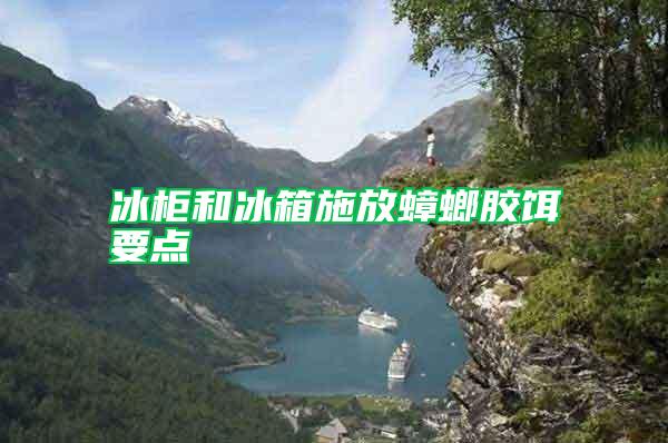 冰柜和冰箱施放蟑螂膠餌要點