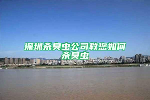 深圳殺臭蟲(chóng)公司教您如何殺臭蟲(chóng)